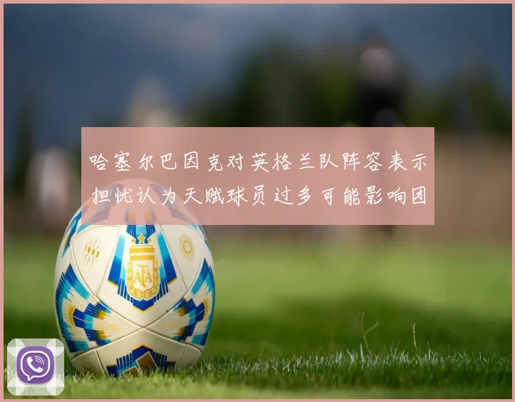 哈塞尔巴因克对英格兰队阵容表示担忧认为天赋球员过多可能影响团队合作