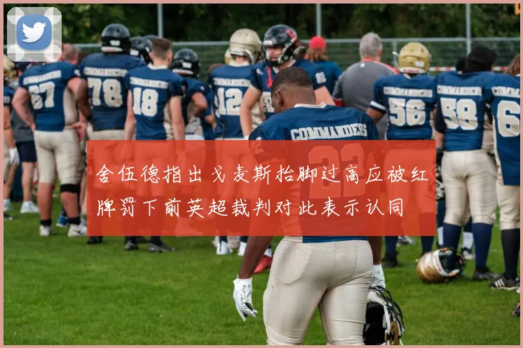 舍伍德指出戈麦斯抬脚过高应被红牌罚下前英超裁判对此表示认同