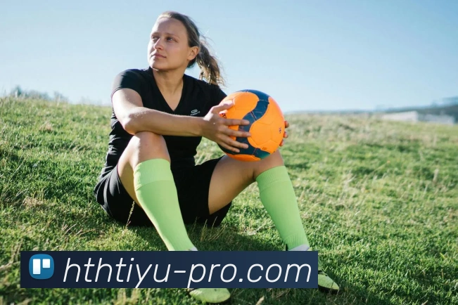 华体会平台生态图